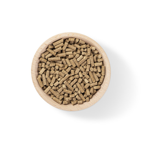 FAHTPIX-Trockenfutter_in_Schüssel